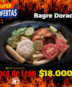 Boca de León - Bagre Dorado